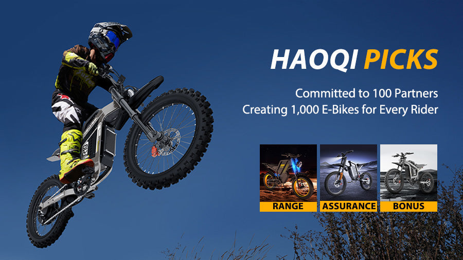 Haoqi eBike Network — Helping You Find the Perfect, Most Cost-Effective E-Bike
