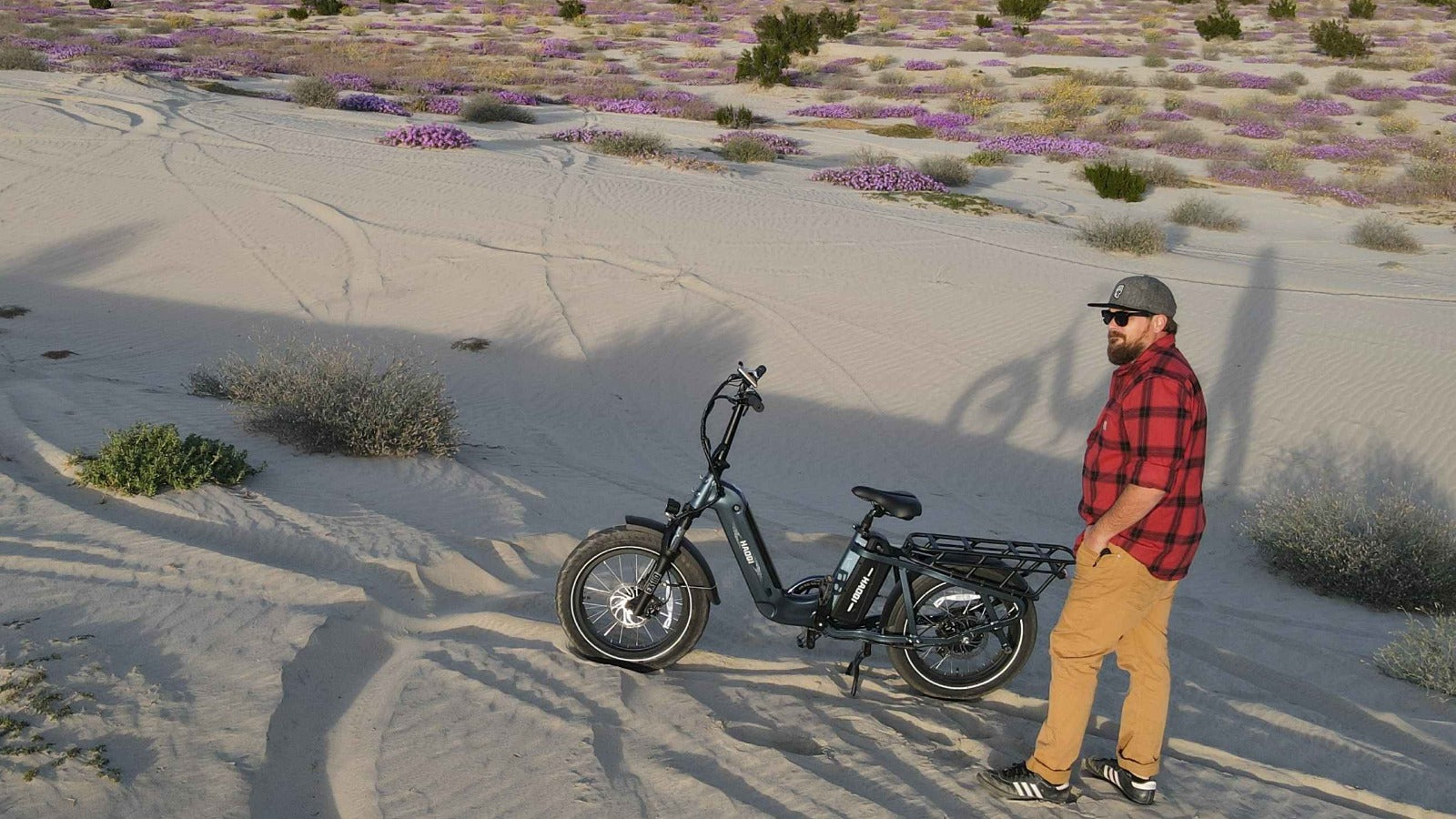 haoqi cargo ebike