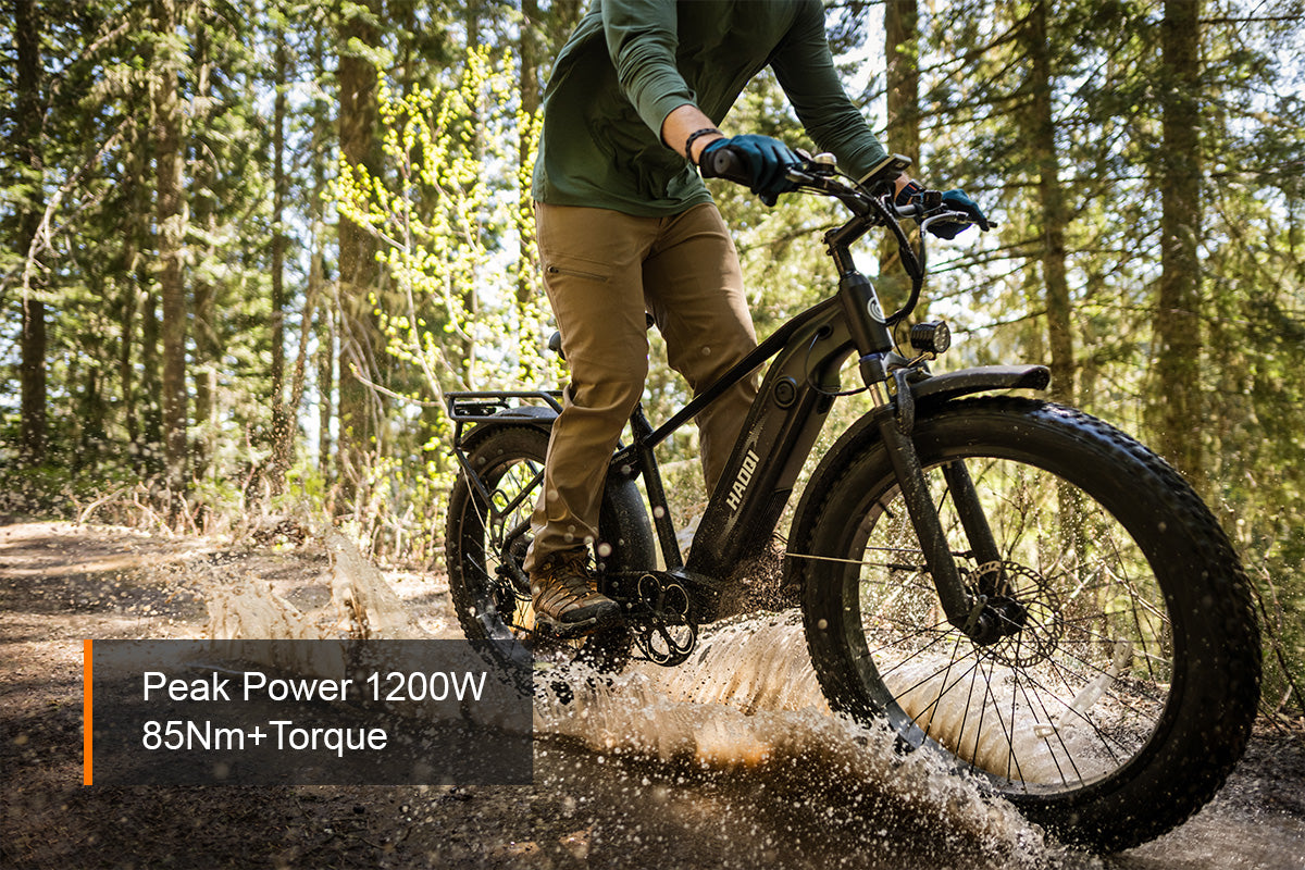 HAOQI Eagle Long Range Electric Bicycle (UL Certified)