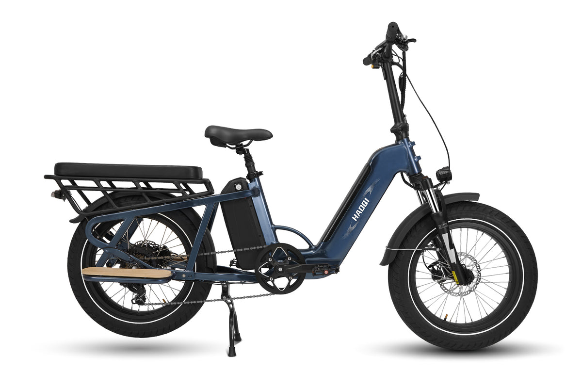 Cheapest electric cargo online bike