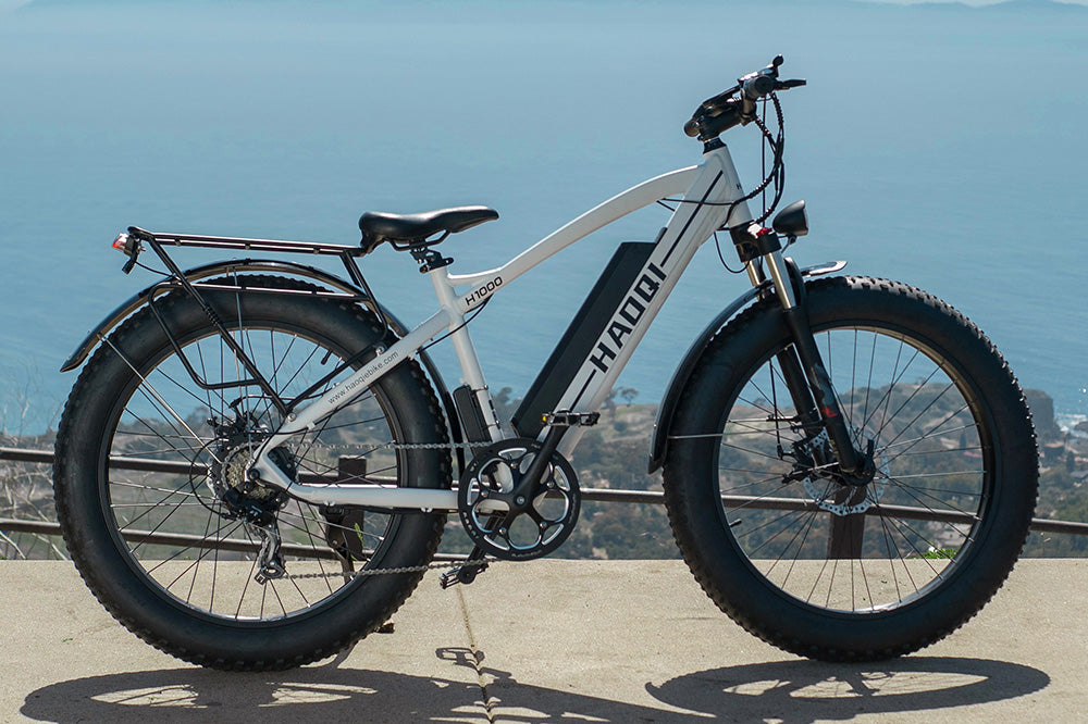 HAOQI Leopard Pro Fat Tire Electric Bike (UL Certified)