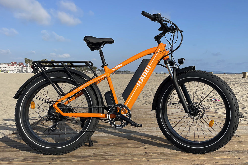 HAOQI Leopard Pro Fat Tire Electric Bike