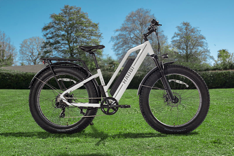 HAOQI White Leopard Pro Step Thru Electric Bike (UL Certified)