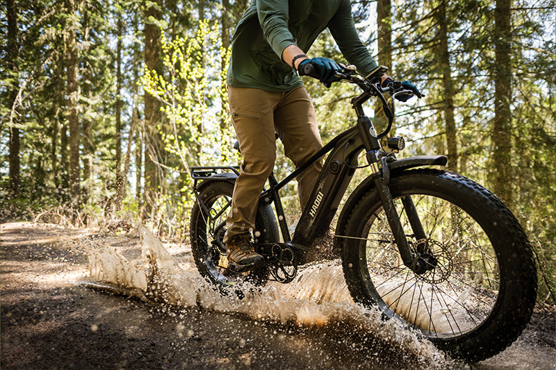 HAOQI Upgraded Eagle Long Range Electric Bicycle (UL Certified)