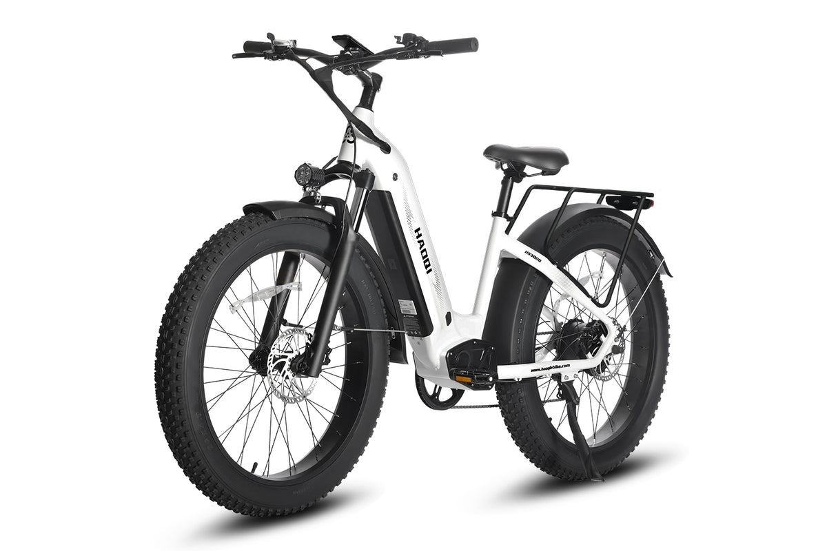 Eagle e hot sale bike price