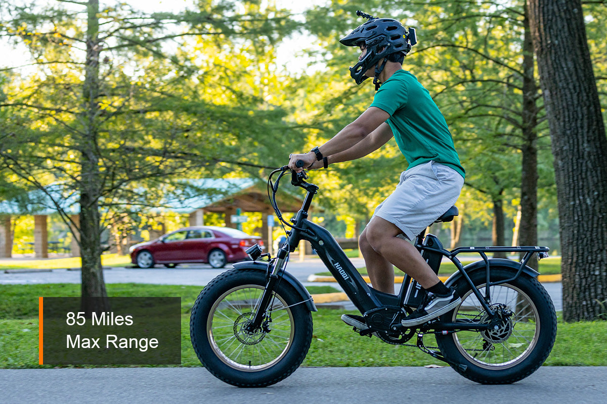 HAOQI Antelope Pro Cargo Electric Bike (UL Certified)