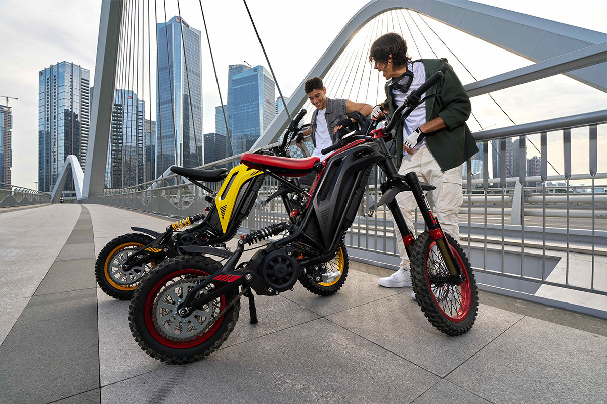 79 Bike-Viper S Electric Dirt Bike