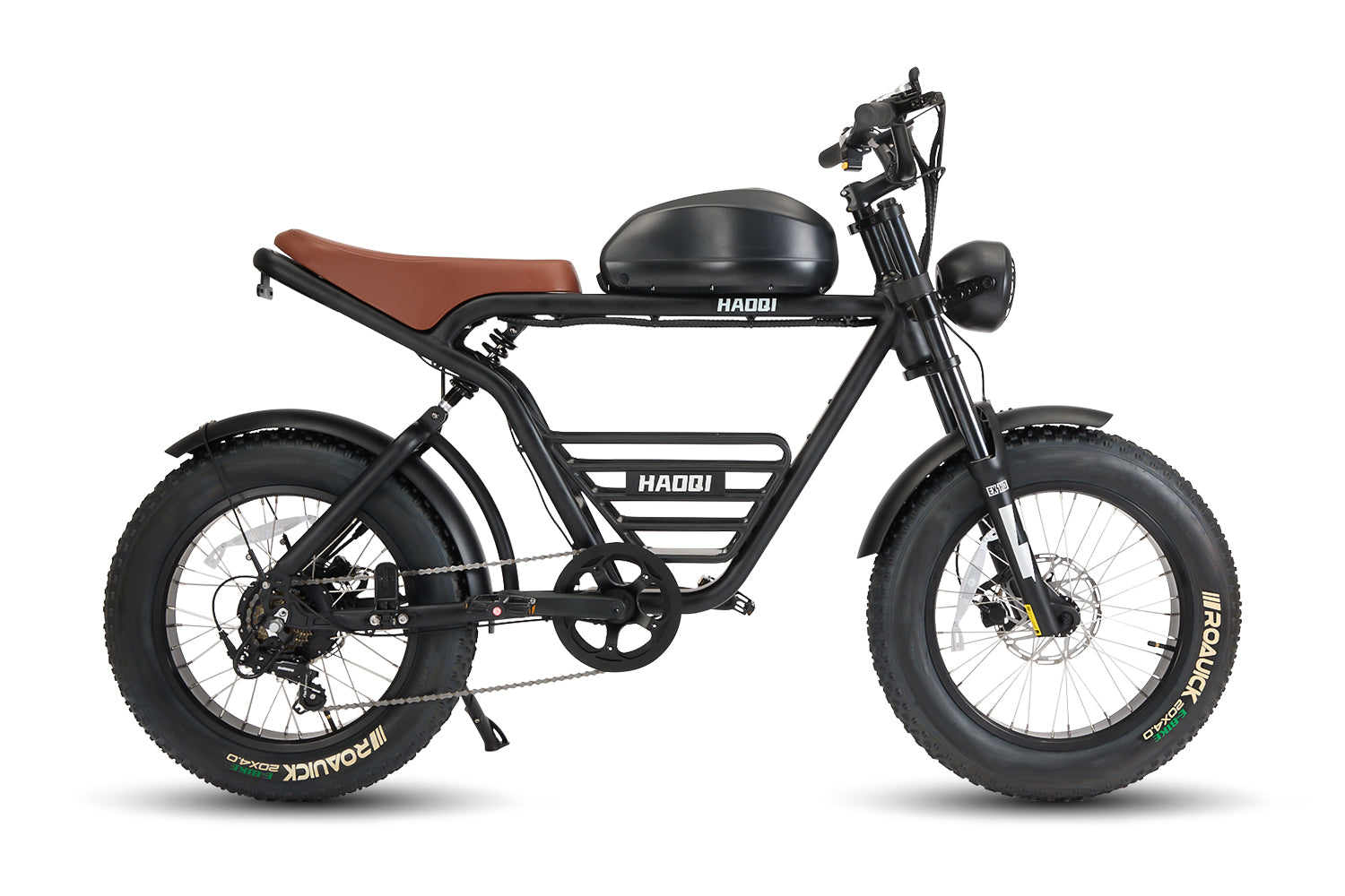 HAOQI Rhino 1000W Softail Electric Motorbike