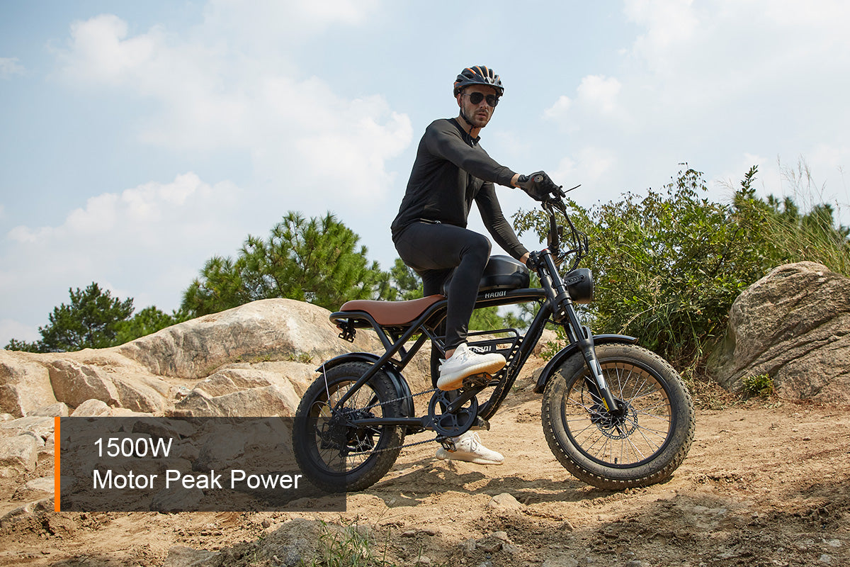 HAOQI Rhino Electric Motorbike (UL Certified)