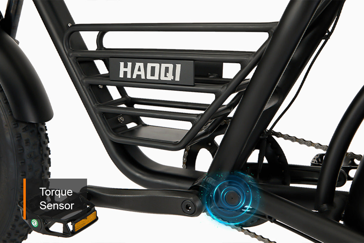 HAOQI Rhino Electric Motorbike (UL Certified)