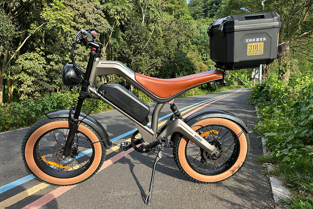 M20 Electric Motorcycle