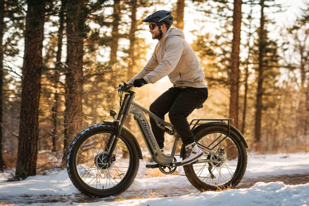 S600 2000W Dual Motor Electric Bike