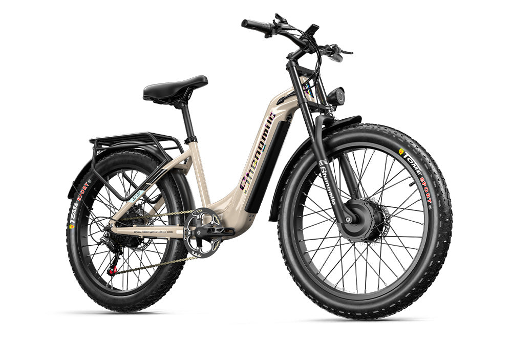 S700 2000W Dual Motor Electric Bike