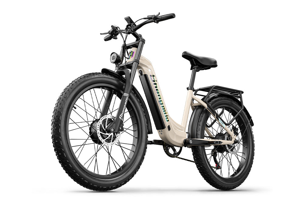 S700 2000W Dual Motor Electric Bike