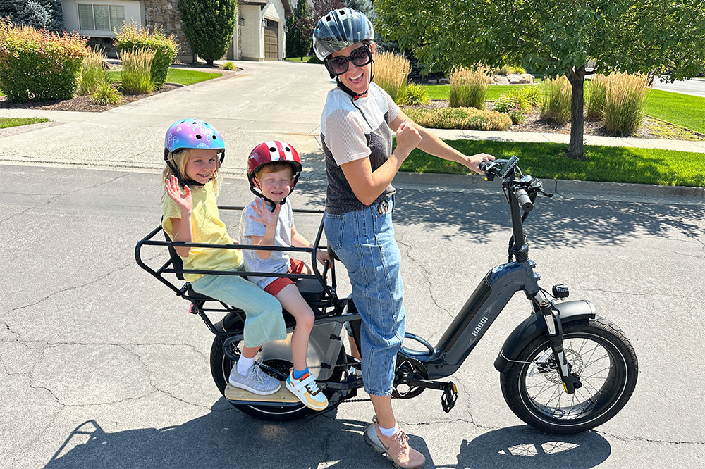 HAOQI Camel Electric Cargo Bike