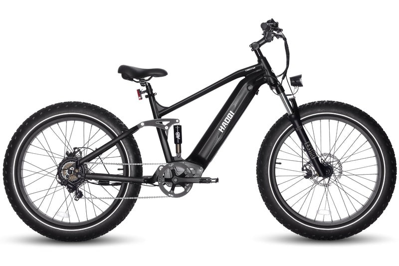 HAOQI Cheetah Full Suspension Electric Bike