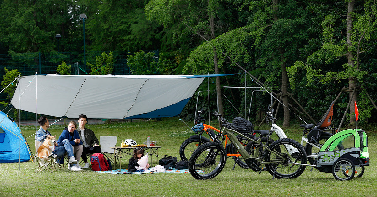 Dual Battery Long Range - Electric Bikes For All Terrain | HAOQI Ebike