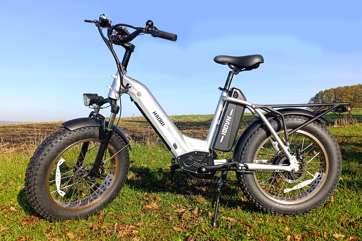HAOQI Antelope Pro 750W Cargo Electric Bike