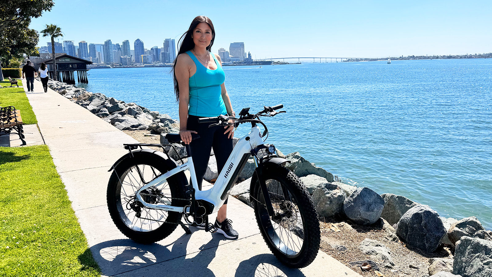 HAOQI eagle Electric Bike