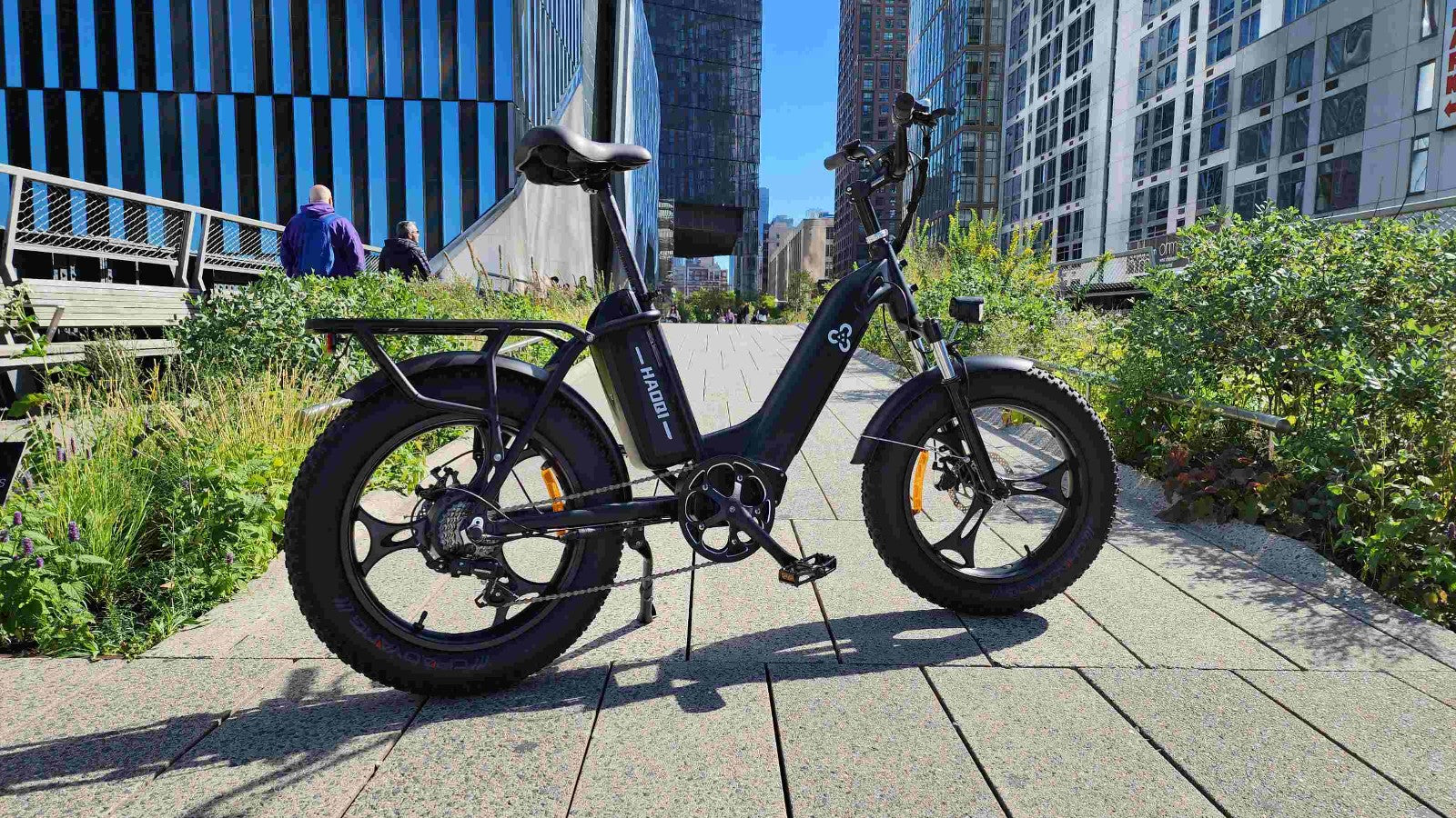 HAOQI antelope cargo ebike