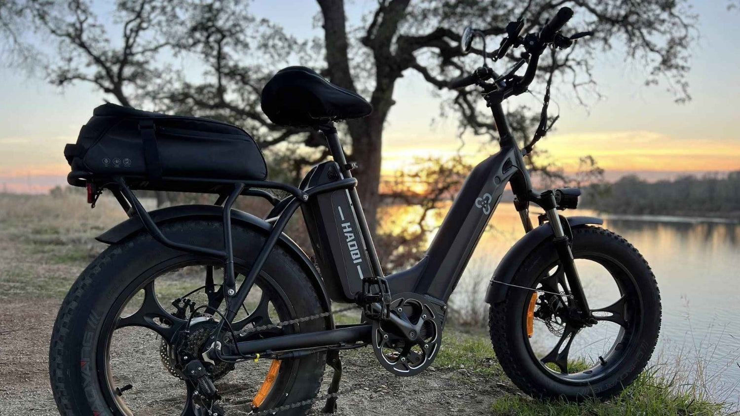 HAOQI Antelope cargo ebike