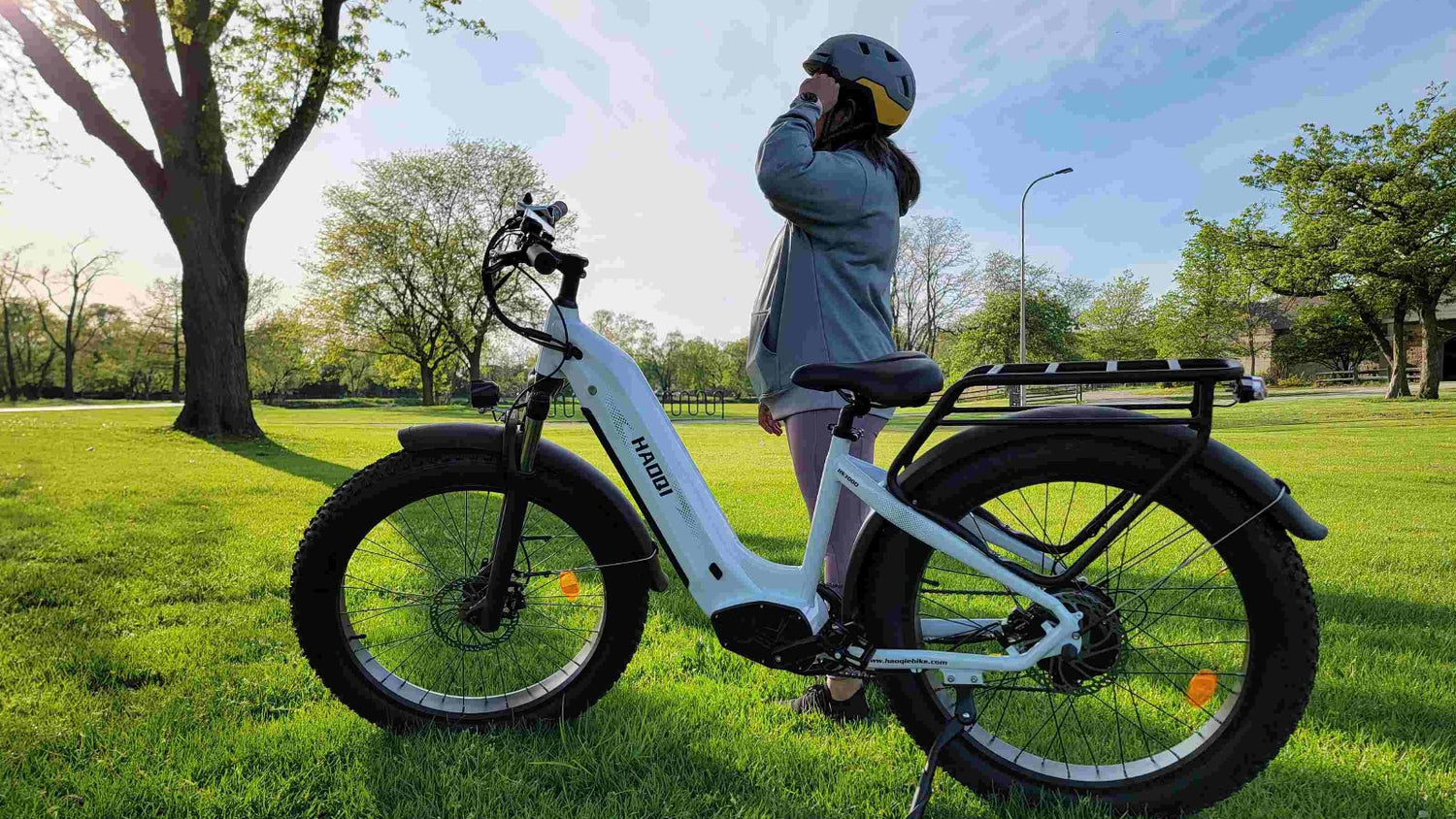 haoqi eagle ebike