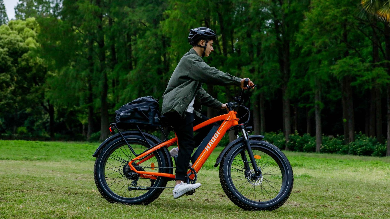 HAOQI black leopard pro ebike