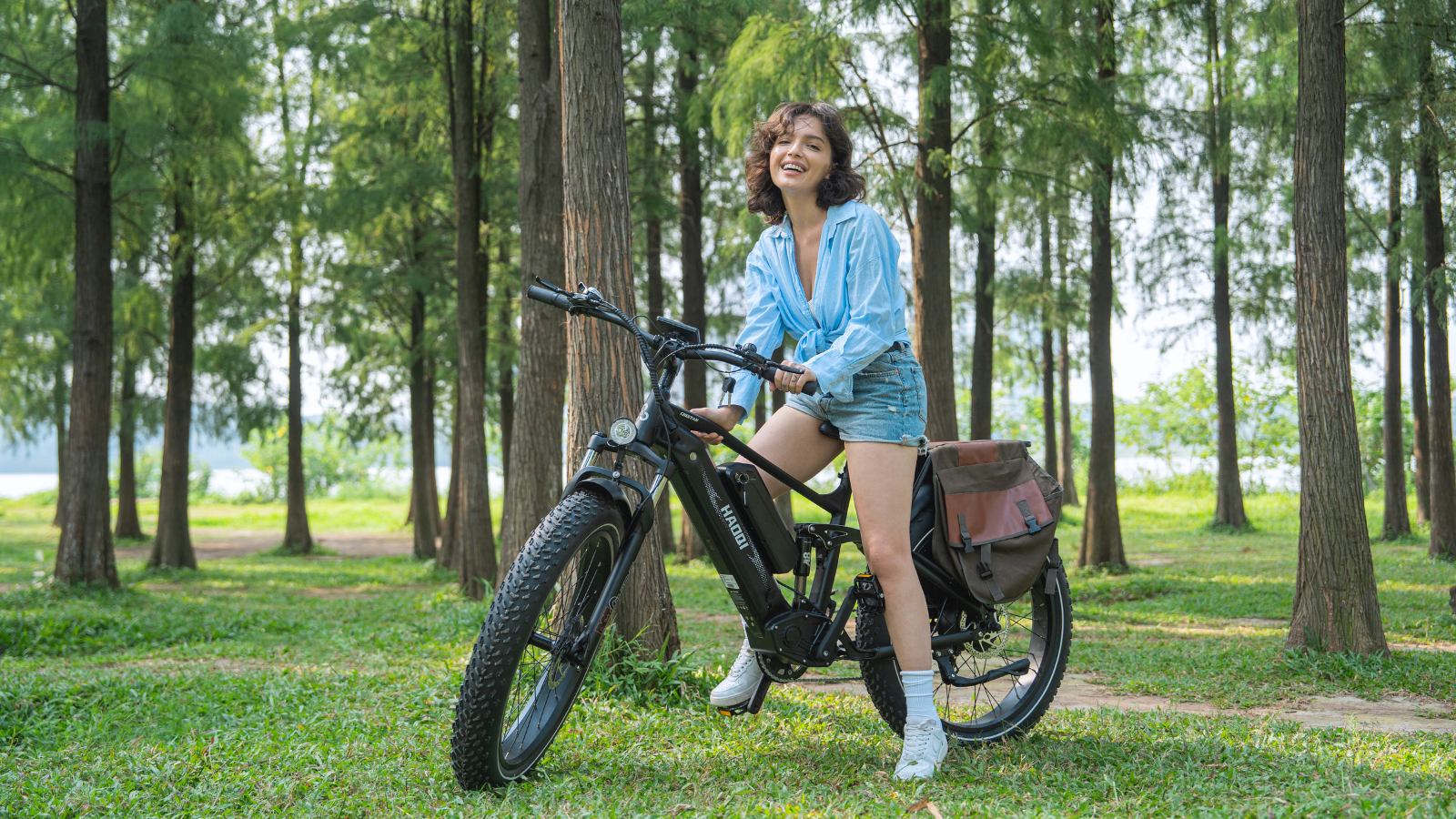 haoqi full suspension ebike