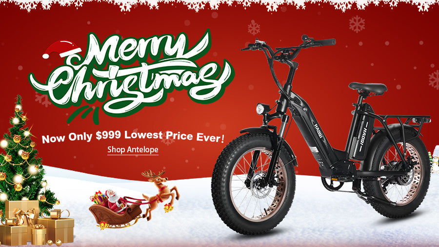 Christmas Deal: Black Antelope Only $999