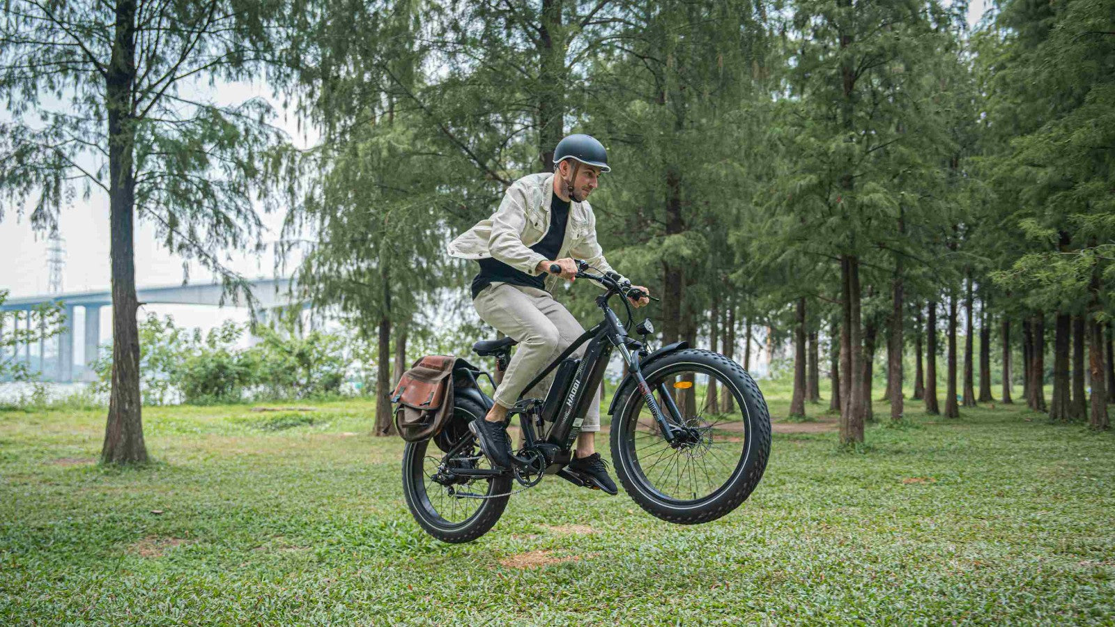 HAOQI Cheetah fat tire ebike