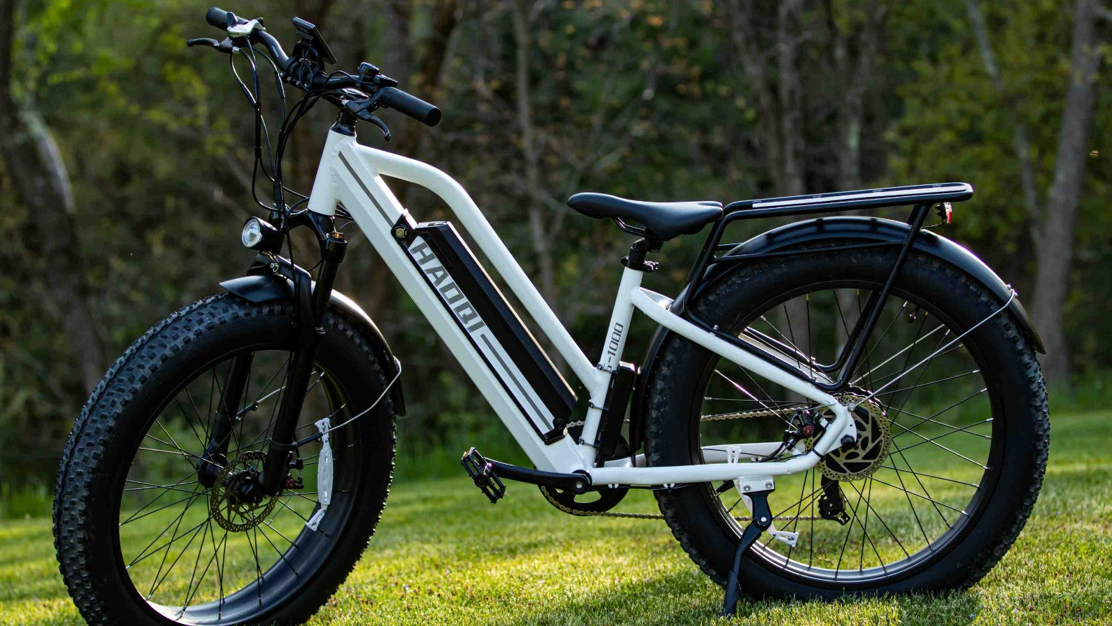 HAOQI White Leopard electric bike