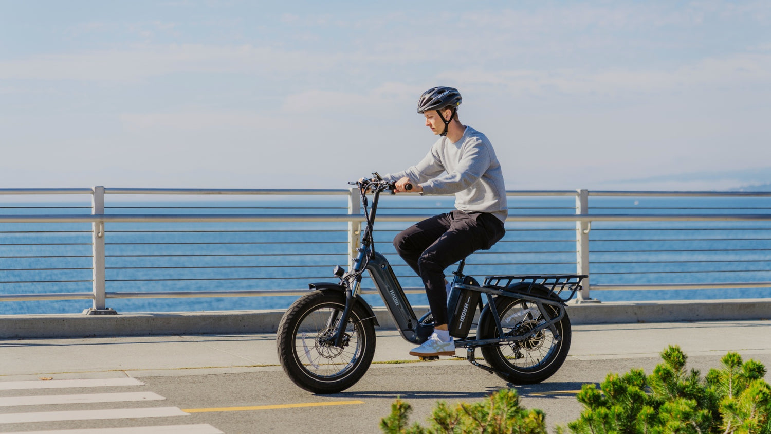 haoqi camel cargo electric bike