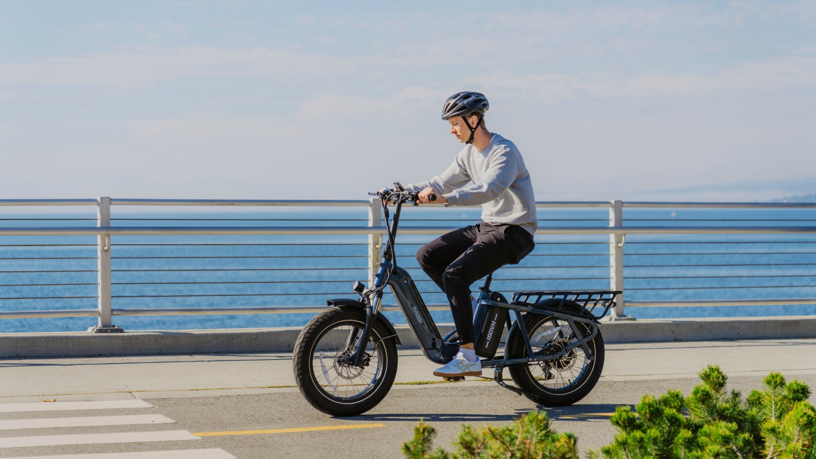 HAOQI Camel and Aventon Abound: Which Electric Cargo Bike Reigns Supreme?