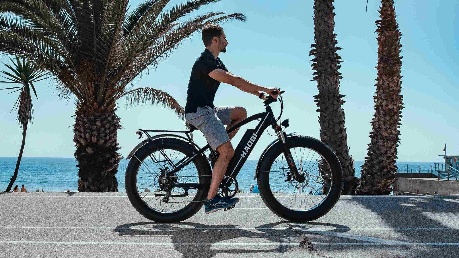 All You Need to Know about Ebike Motor - haoqiebike.com