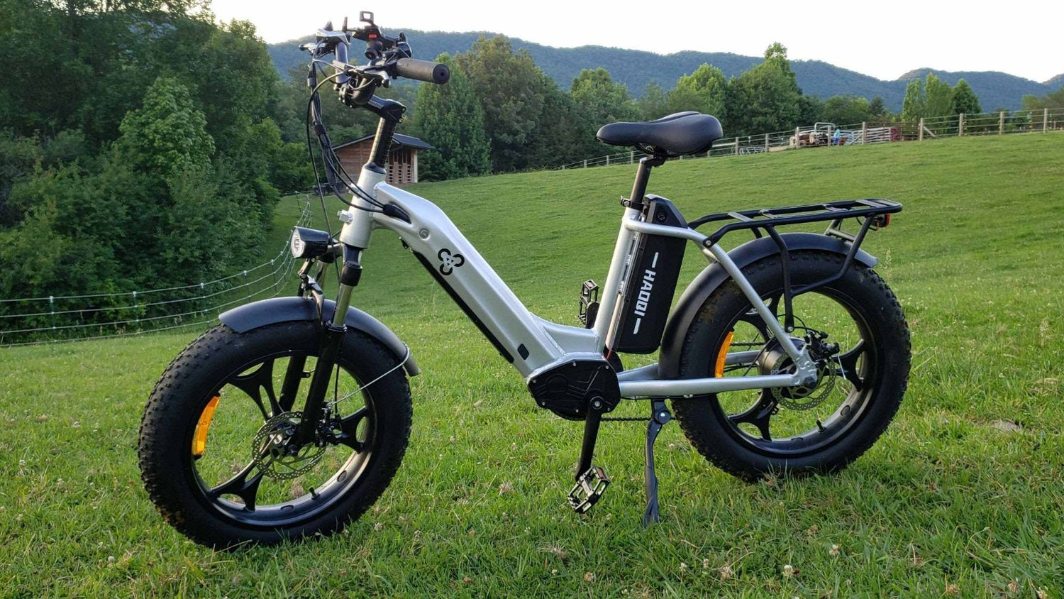 HAOQI ANTELOPE CARGO EBIKE