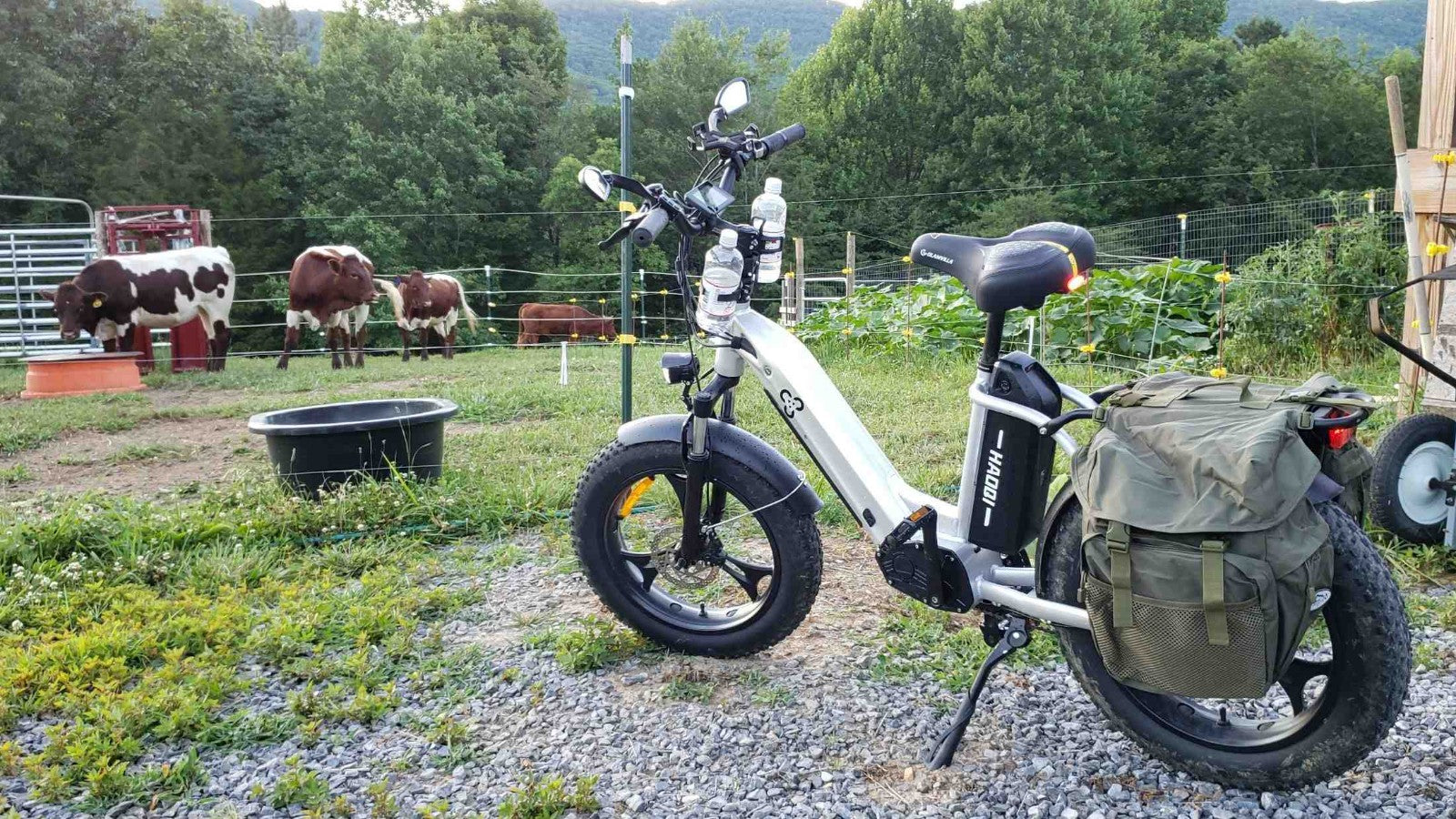 HAOQI ANTELOPE EBIKE