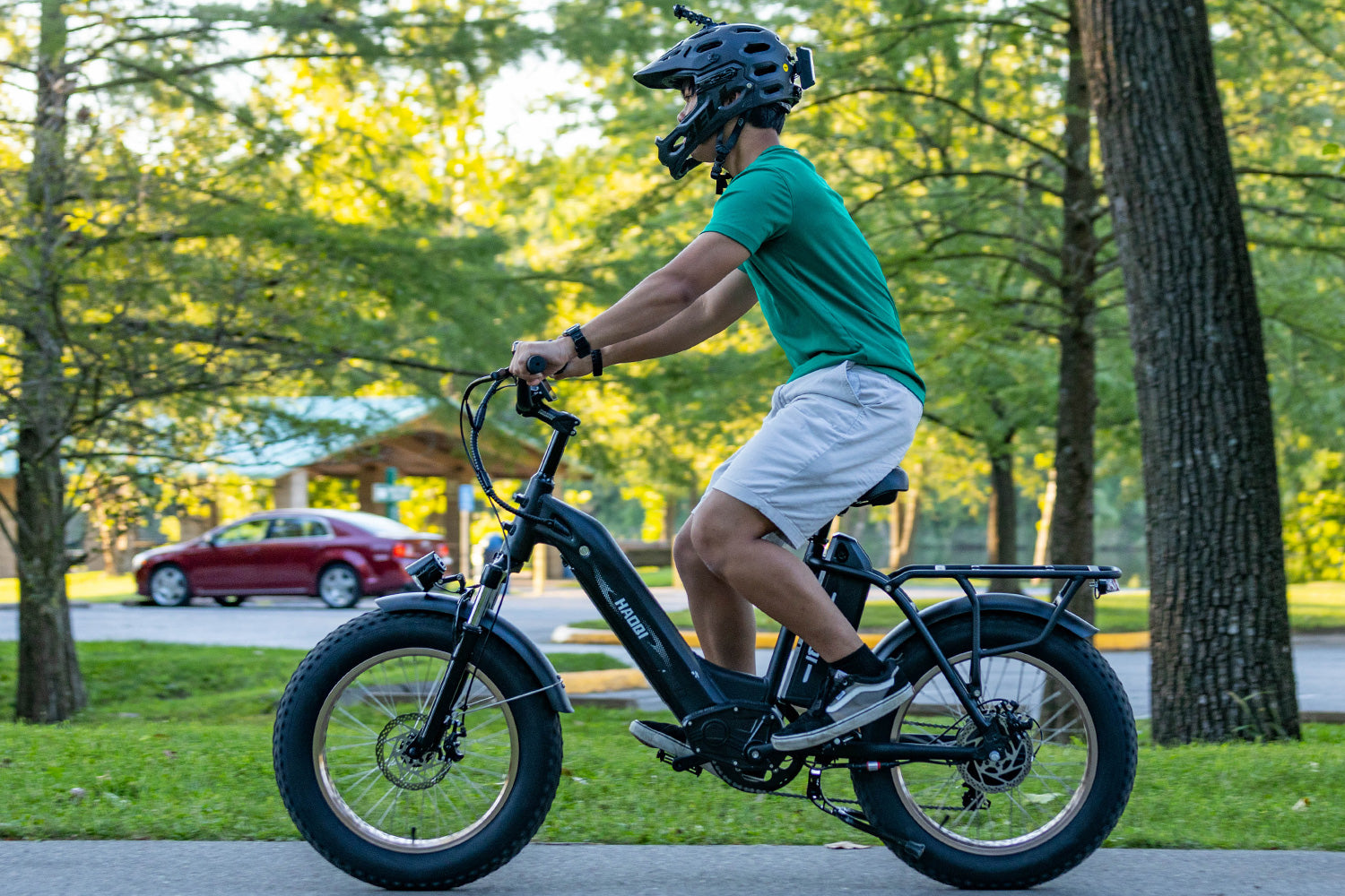 HAOQI Antelope Pro 750W Cargo Electric Bike [electric bike] [HAOQI ebike]