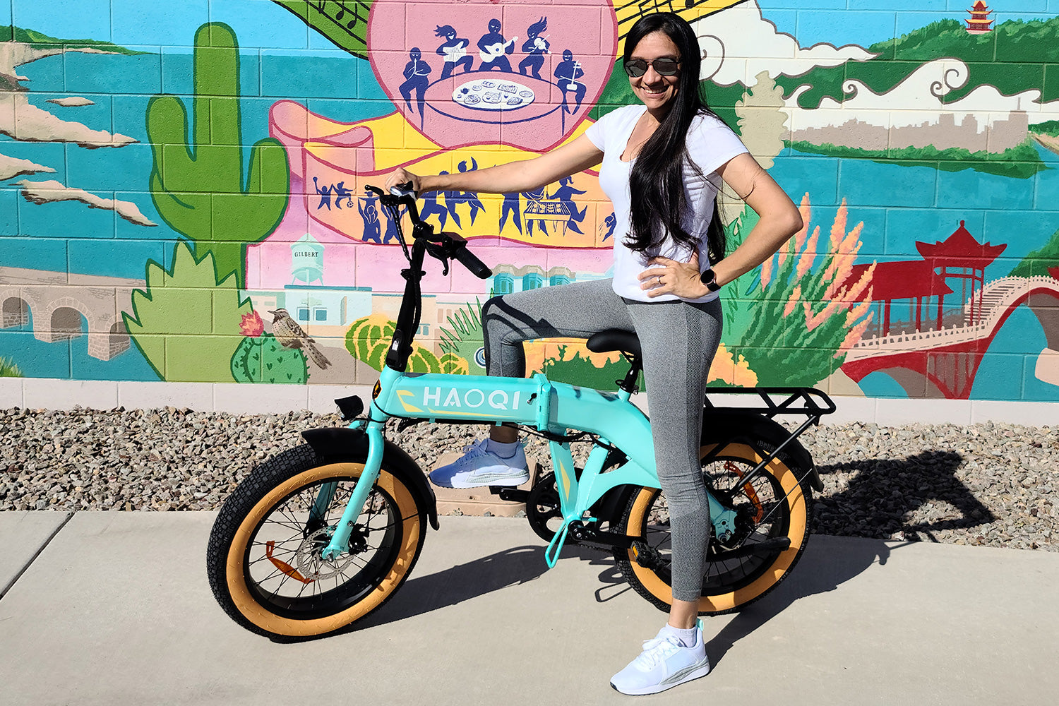 HAOQI Squirrel Folding Electric Bike (UL Certified) [electric bike] [HAOQI ebike]