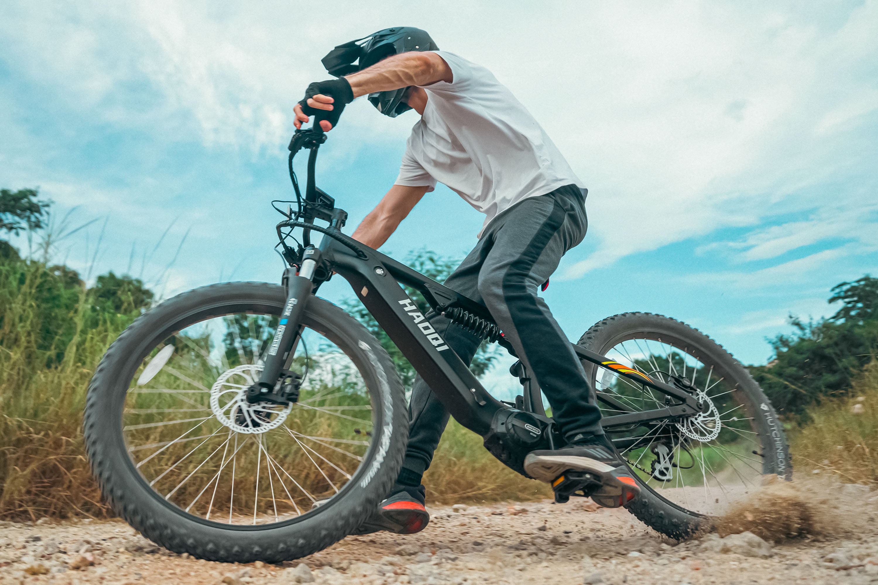 HAOQI Mustang Premium Electric Mountain Bike (UL Certified)