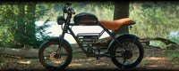 HAOQI Rhino Electric Motorbike
