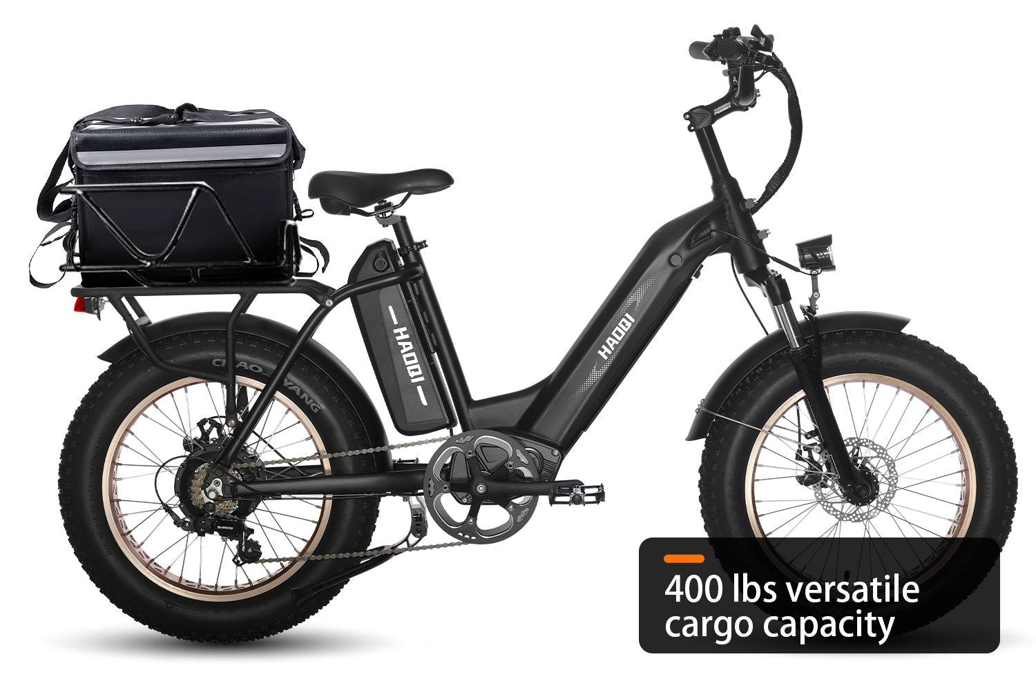 HAOQI Antelope Pro 750W Cargo Electric Bike [electric bike] [HAOQI ebike]