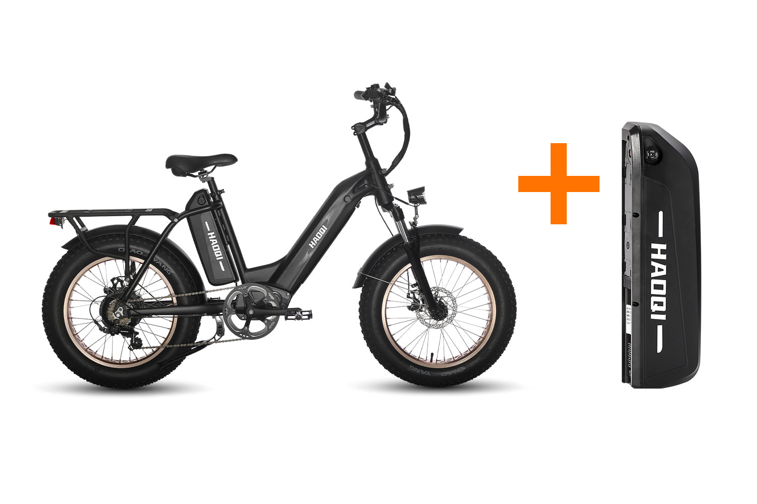 HAOQI Antelope Pro 750W Cargo Electric Bike [electric bike] [HAOQI ebike]