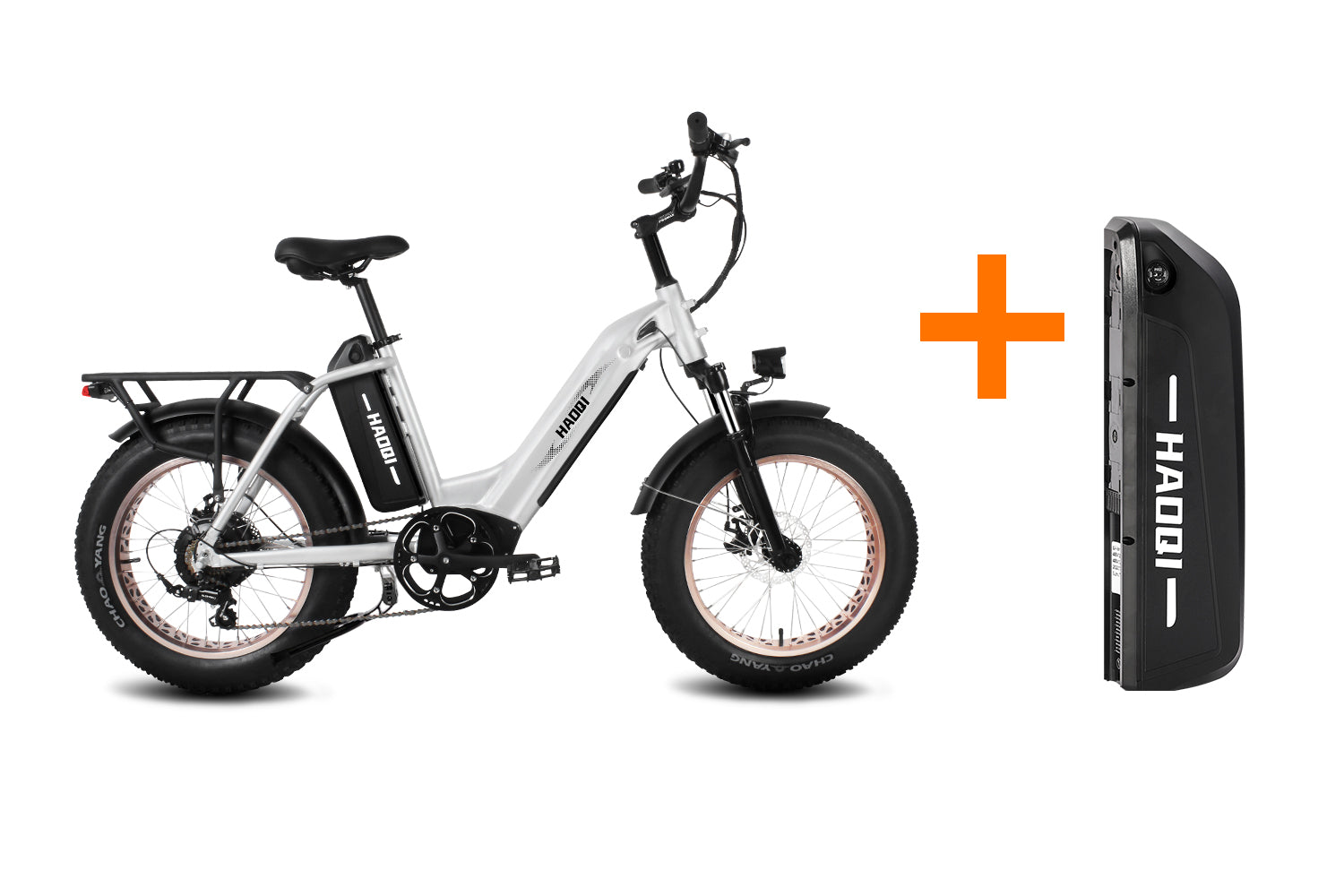 HAOQI Antelope Pro 750W Cargo Electric Bike (UL Certified) [electric bike] [HAOQI ebike]