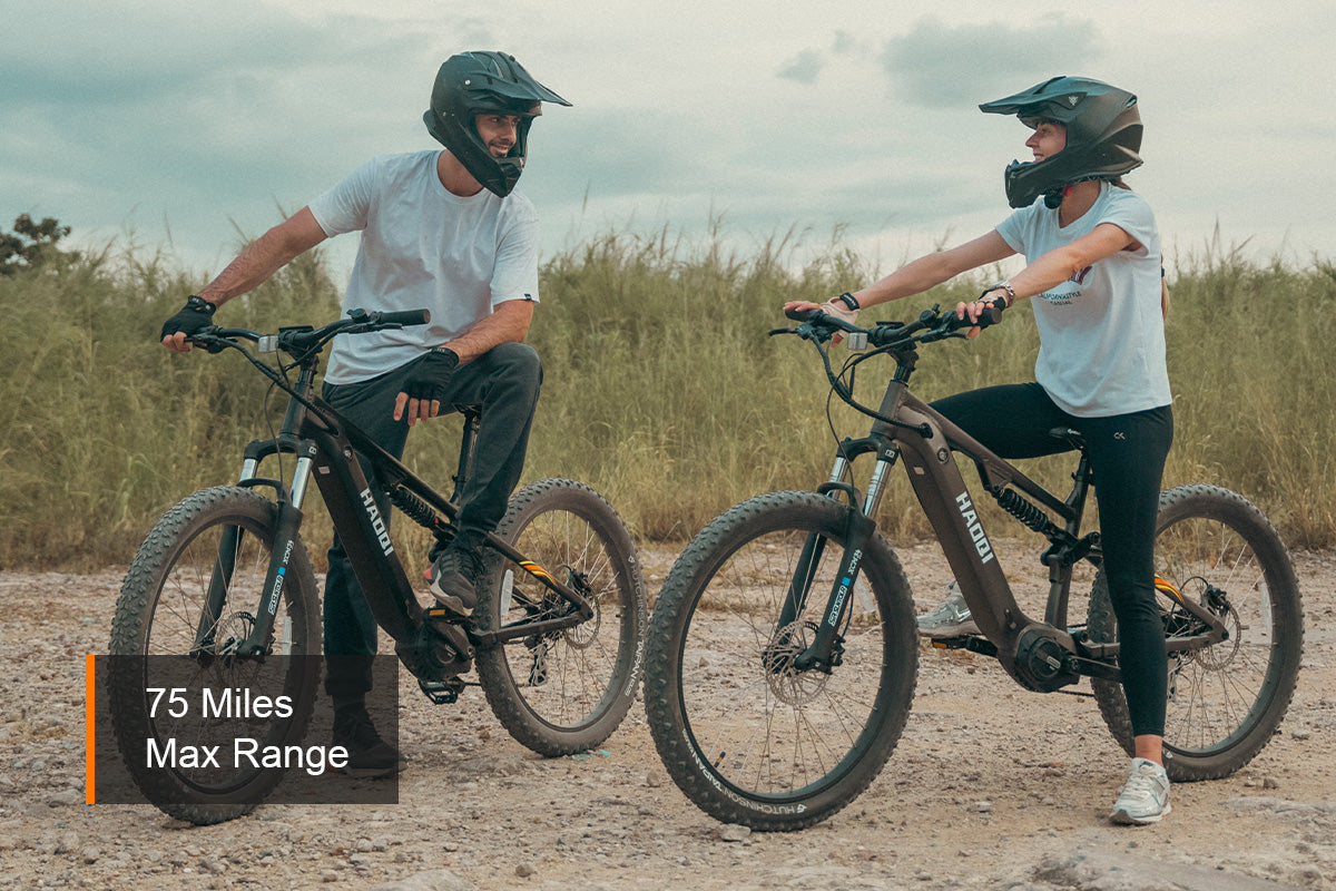 HAOQI Mustang Premium Electric Mountain Bike (UL Certified)