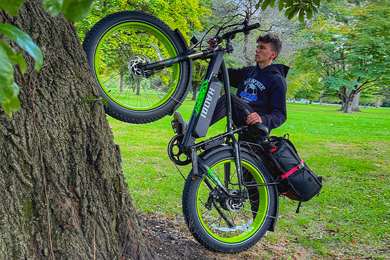 HAOQI Green Leopard Pro Fat Tire Electric Bike (UL Certified)