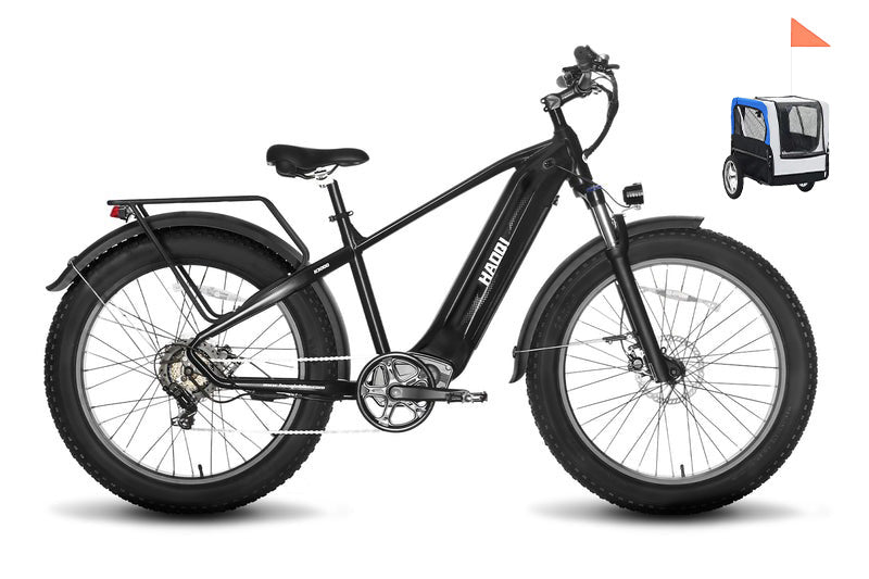 HAOQI Upgraded Eagle Long Range Electric Bicycle (UL Certified)