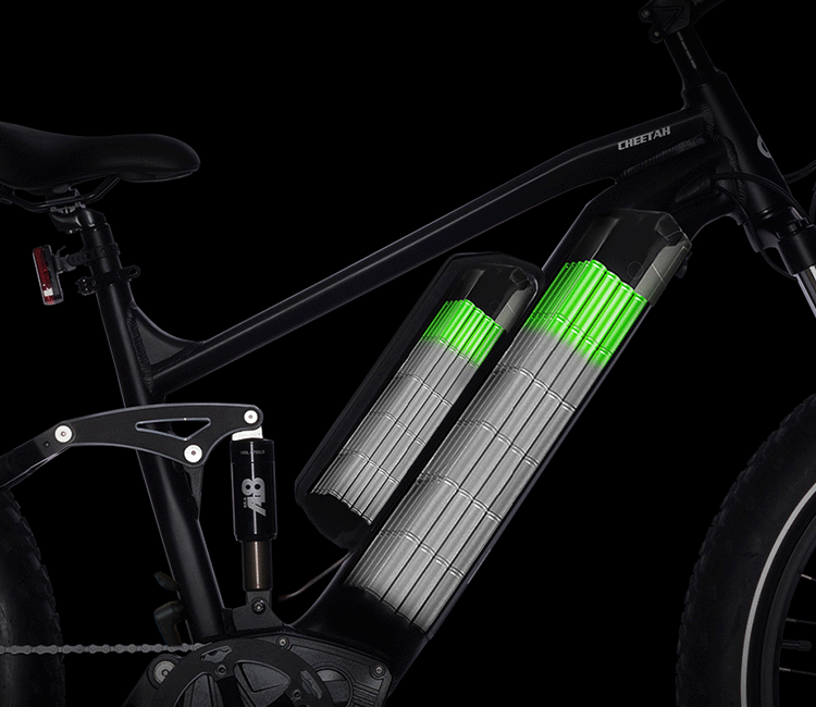 Chita e bike price sale