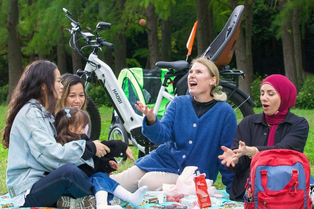 haoqi eagle ebike