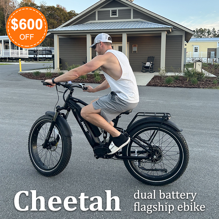 Cheetah Dual Battery Full Suspension Electric Bike HAOQI EBIKE