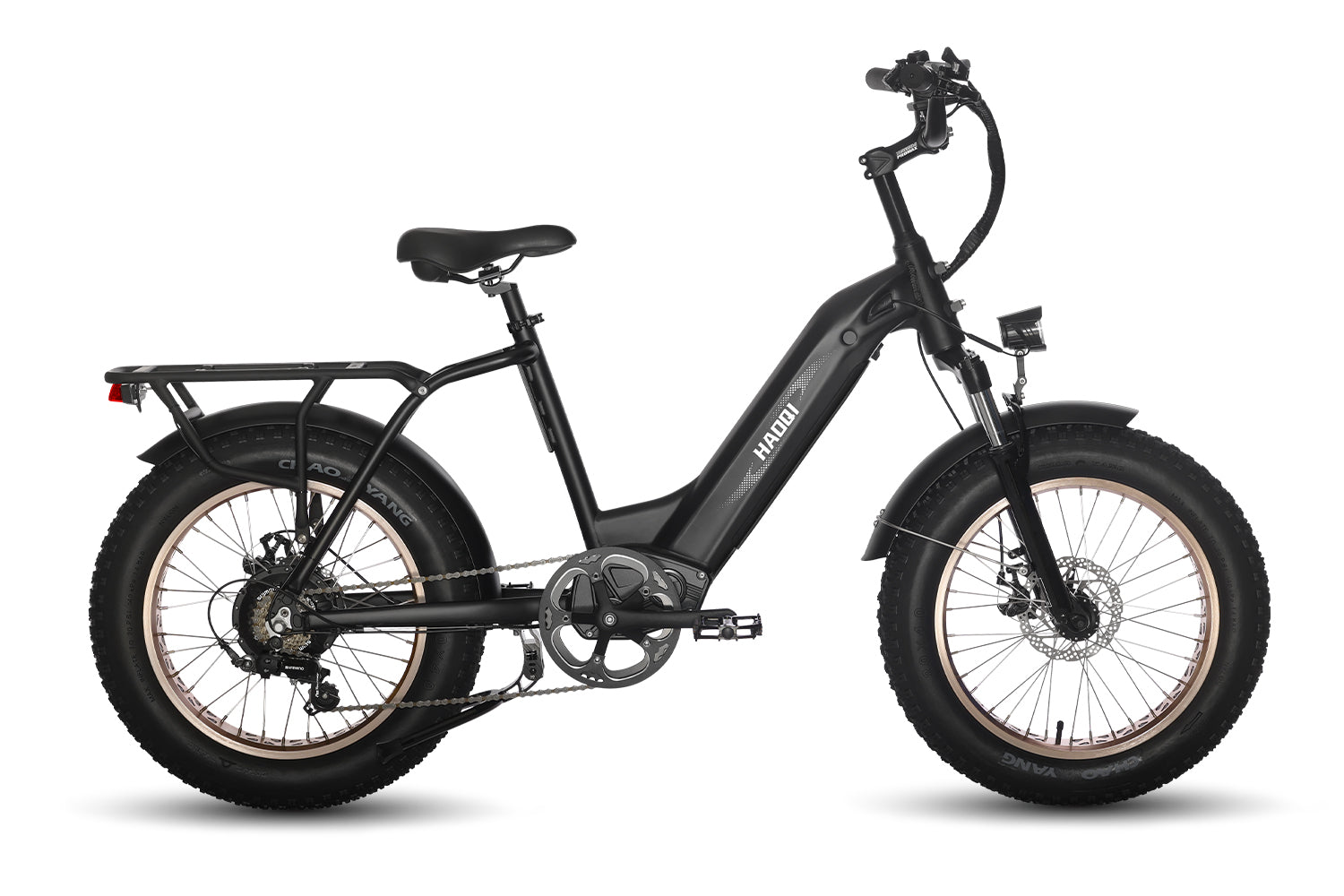 HAOQI Antelope Pro 750W Cargo Electric Bike (UL Certified)